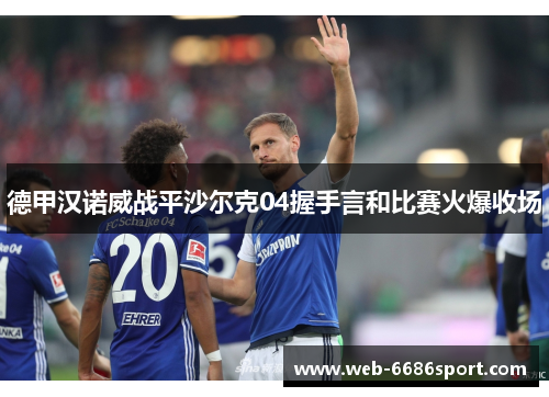 德甲汉诺威战平沙尔克04握手言和比赛火爆收场