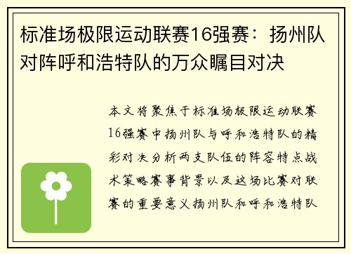 标准场极限运动联赛16强赛：扬州队对阵呼和浩特队的万众瞩目对决